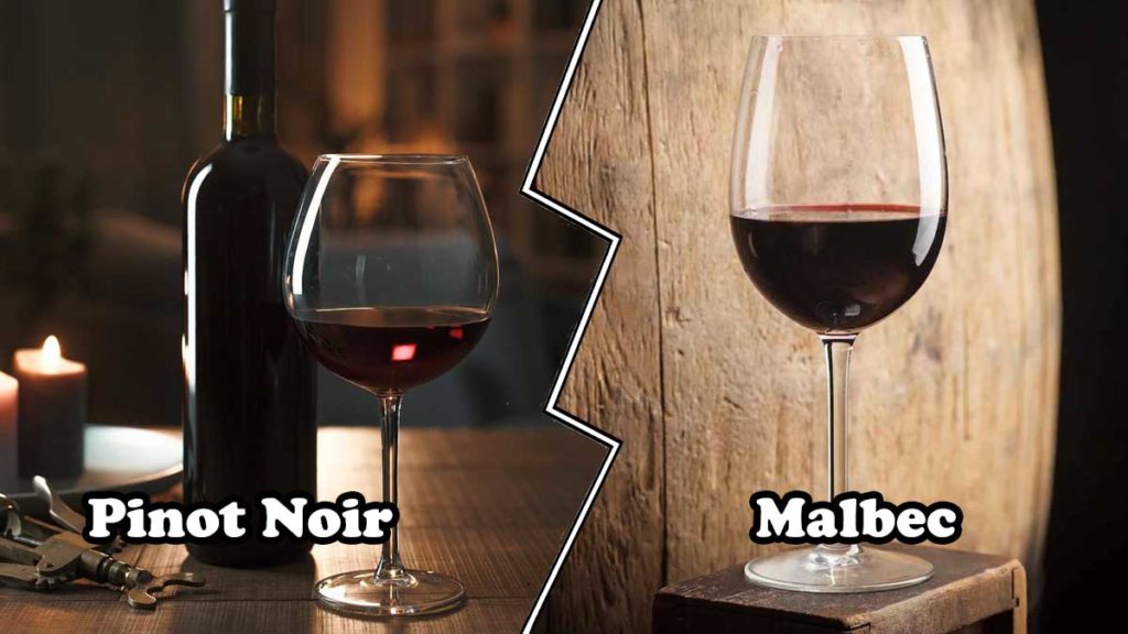 difference between Malbec and Pinot Noir 