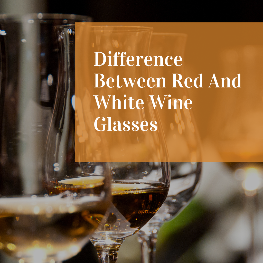 Difference Between Red And White Wine Glasses