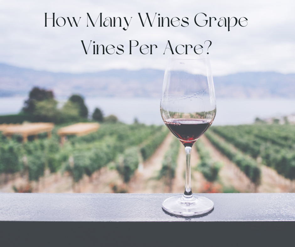 how many wine grape vines per acre?