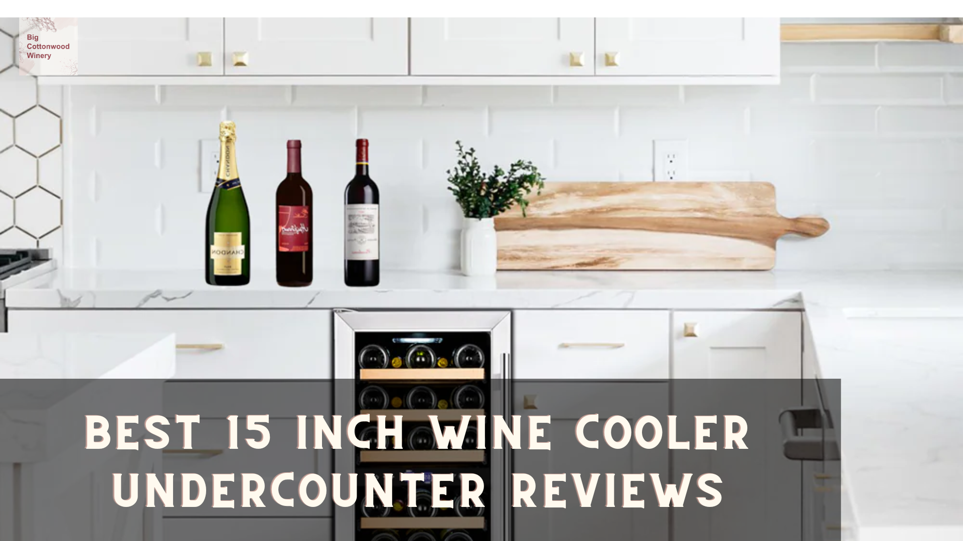 Best 15 Inch Wine Cooler Undercounter Reviews: